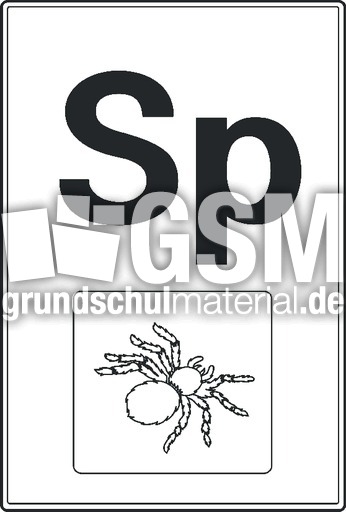 Sp Druck sw.pdf